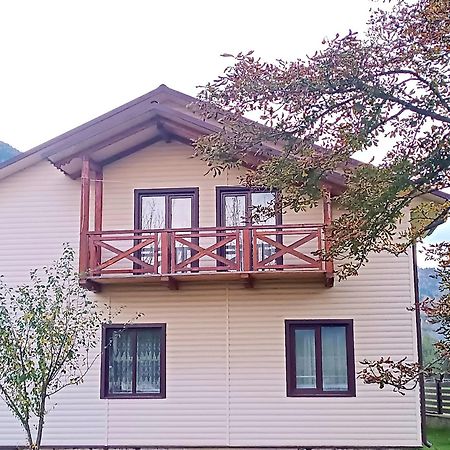 Apartament Гірська Роса Verkhniy Yasenov Zewnętrze zdjęcie