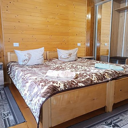 Apartament Гірська Роса Verkhniy Yasenov Zewnętrze zdjęcie