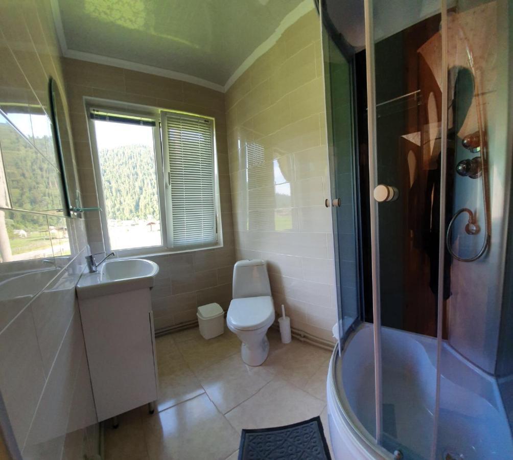 Apartament Гірська Роса Verkhniy Yasenov Zewnętrze zdjęcie
